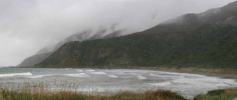 Nieuw-Zeeland 2011 - 1075